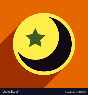 Flat with shadow Icon moon and star on colored vector image