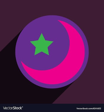 Flat with shadow Icon moon and star on colored vector image