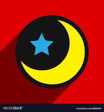 Flat with shadow Icon moon and star on colored vector image