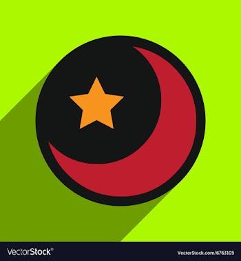 Flat with shadow Icon moon and star on colored vector image