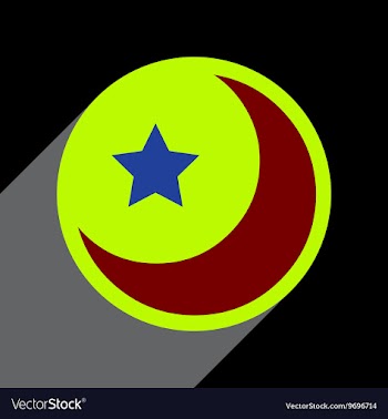 Flat with shadow Icon moon and star on colored vector image