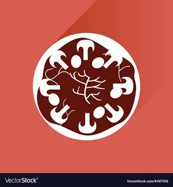 Flat with shadow Icon pizza and mushrooms vector image