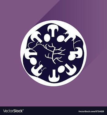 Flat with shadow Icon pizza and mushrooms vector image