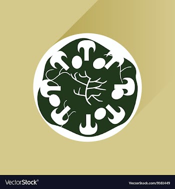Flat with shadow Icon pizza and mushrooms vector image