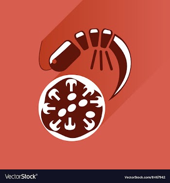 Flat with shadow Icon pizza and shrimp vector image