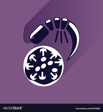 Flat with shadow Icon pizza and shrimp vector image