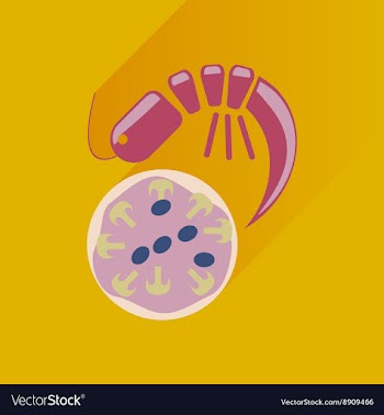 Flat with shadow Icon pizza and shrimp vector image