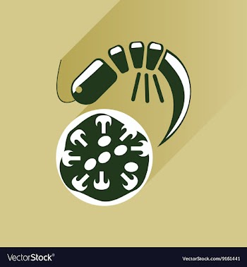 Flat with shadow Icon pizza and shrimp vector image