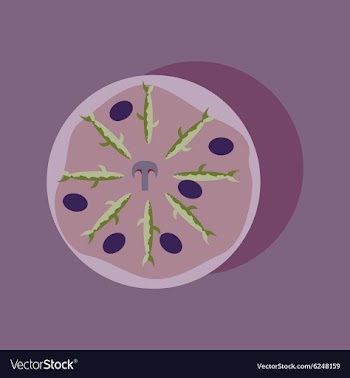 Flat with shadow Icon pizza and tuna vector image