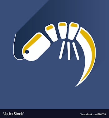 Flat with shadow Icon shrimp on stylish background vector image