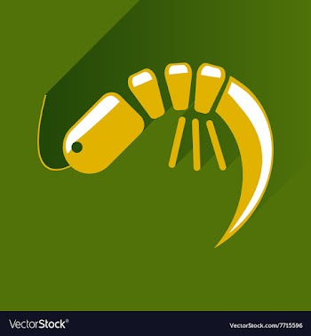 Flat with shadow Icon shrimp on stylish background vector image