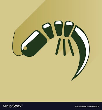 Flat with shadow Icon shrimp on stylish background vector image