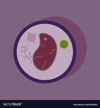 Flat with shadow Icon steak on plate vector image