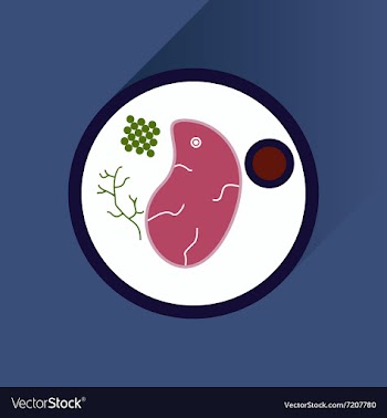 Flat with shadow Icon steak on plate vector image