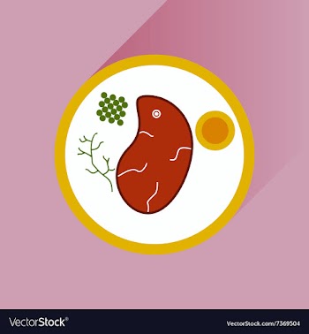 Flat with shadow Icon steak on plate vector image