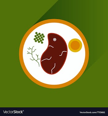 Flat with shadow Icon steak on plate vector image