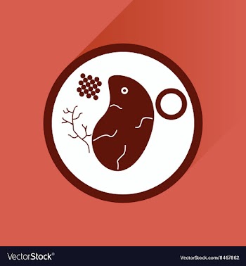 Flat with shadow Icon steak on plate vector image