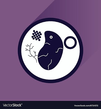Flat with shadow Icon steak on plate vector image