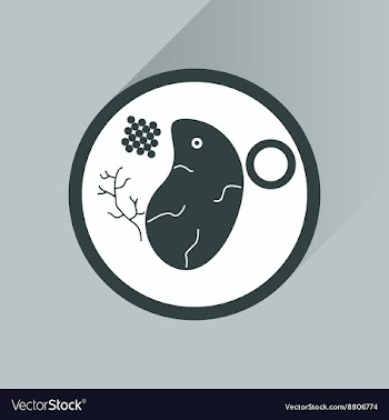 Flat with shadow Icon steak on plate vector image