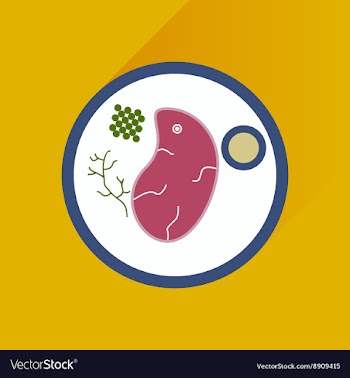 Flat with shadow Icon steak on plate vector image