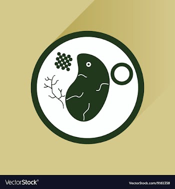 Flat with shadow Icon steak on plate vector image