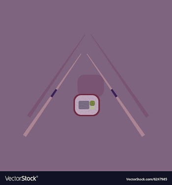 Flat with shadow Icon sushi and chopsticks vector image