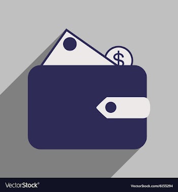 Flat with shadow icon wallet money and coins vector image