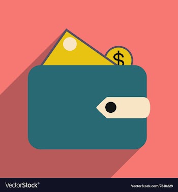 Flat with shadow icon wallet money and coins vector image