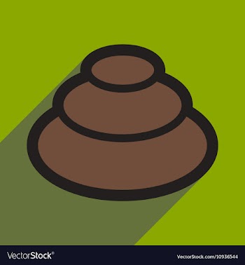 Flat with shadow icon wasabi on stylish background vector image