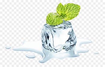 Flavor, Juice, Wintergreen, Leaf, Plant PNG