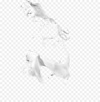 Flavored milk Splash - Milk splash template 