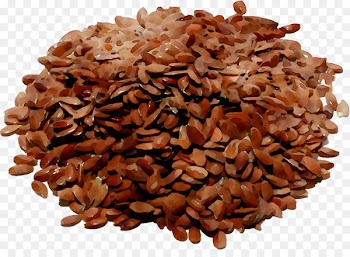 Flax Health Systemic lupus erythematosus Medicinal plants Herb -  