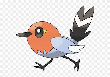 Fletchling Is A Fire/flying Type - Fledgeling Pokemon