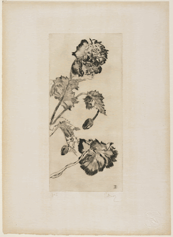 Fleurs (Flowers). Original from the Minneapolis | Free Photo - rawpixel