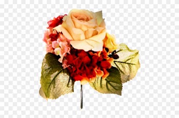 Fleurs Jaunes - Garden Roses