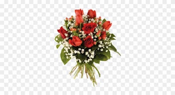 Fleurs - Rose