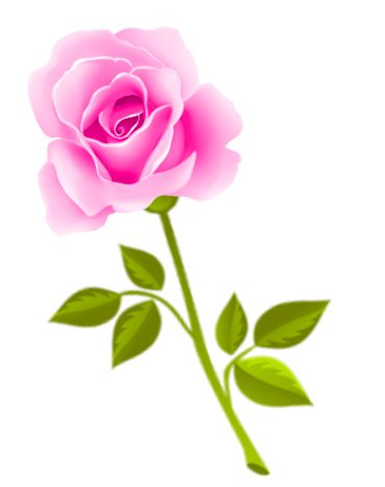 Fleurs, tube, flowers, png ? - Clip Art Library