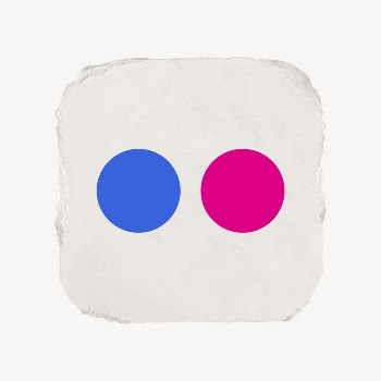 Flickr icon for social media | Free Icons - rawpixel