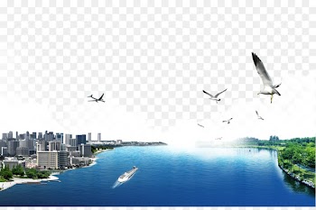 Flight Aircraft Airplane - Aircraft traces 