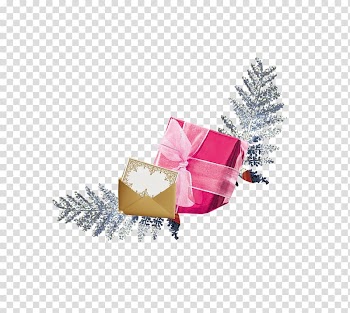 Flight Euclidean , Gift transparent background PNG clipart