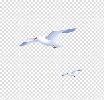 Flight Sky European Herring Gull, Flying geese sky blue and white hand-painted transparent background PNG clipart