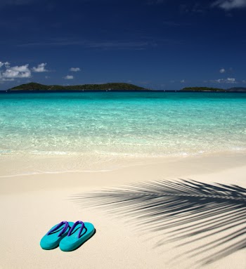 flip-flops on the beach with a shadow of a palm frond