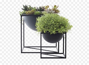 Floating shelf Industrial style By Lassen Concept Store Interior Design Services - Continental Iron flower pots indoor succulents 