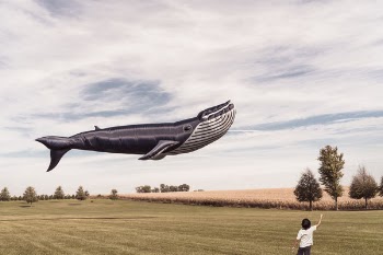 Floating Whale Kite Free Photo 