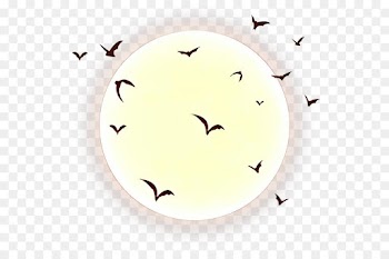 flock bat bird migration bird smile