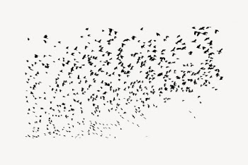 Flock of bird silhouette, animal | Free Vector - rawpixel
