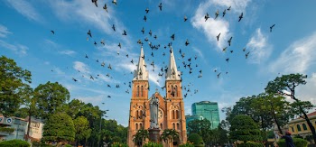 Flock of Birds Under Blue and White Sky