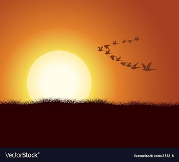 Flock of birds vector image