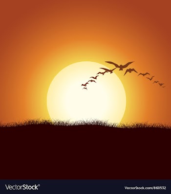 Flock of birds vector image