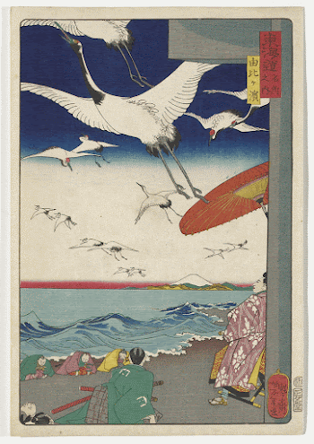 flock of cranes taking off over beach; | Free Photo - rawpixel